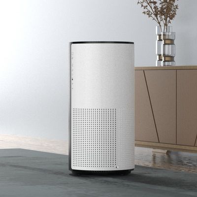 Whole House Ozone Hepa Air Cleaner With Activated Charcoal Filter